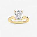 Cushion Hidden Halo Engagement Ring