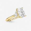 Elongated Cushion with Half Moon Side Stones Engagement Ring