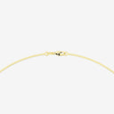 Oval Solitaire Pendant with Omega Chain