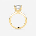 Round Petite Solitaire Engagement Ring