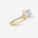 Cushion Floating Hidden Halo Engagement Ring