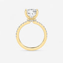 Cushion Floating Hidden Halo Engagement Ring