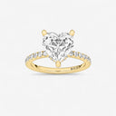 Heart Floating Hidden Halo Engagement Ring