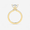 Heart Floating Hidden Halo Engagement Ring