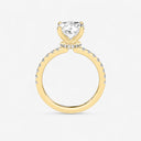 Oval Floating Hidden Halo Engagement Ring