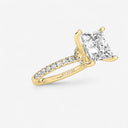 Princess Floating Hidden Halo Engagement Ring