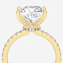 Princess Floating Hidden Halo Engagement Ring