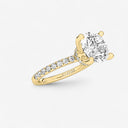 Round Floating Hidden Halo Engagement Ring