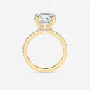 Round Floating Hidden Halo Engagement Ring