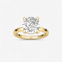 Round Hidden Halo Engagement Ring