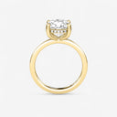 Round Hidden Halo Engagement Ring