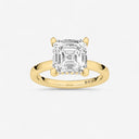 Asscher Hidden Halo Engagement Ring