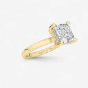 Asscher Hidden Halo Engagement Ring