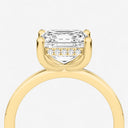 Asscher Hidden Halo Engagement Ring