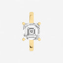 Asscher Hidden Halo Engagement Ring