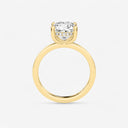Cushion Hidden Halo Engagement Ring