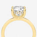 Cushion Hidden Halo Engagement Ring