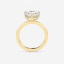 Heart Hidden Halo Engagement Ring