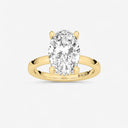 Oval Hidden Halo Engagement Ring