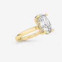 Oval Hidden Halo Engagement Ring