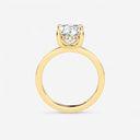 Oval Hidden Halo Engagement Ring