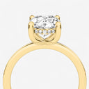 Oval Hidden Halo Engagement Ring