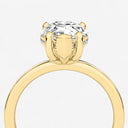 Pear Hidden Halo Engagement Ring