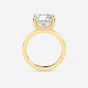 Princess Hidden Halo Engagement Ring