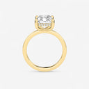 Radiant Hidden Halo Engagement Ring