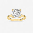 Round Hidden Halo Engagement Ring