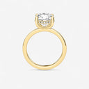 Round Hidden Halo Engagement Ring