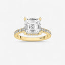 Asscher Hidden Halo Side Stone Engagement Ring
