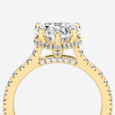 Heart Hidden Halo Side Stone Engagement Ring