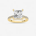 Princess Hidden Halo Side Stone Engagement Ring