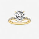 Round Hidden Halo Side Stone Engagement Ring