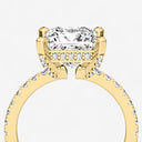 Princess Hidden Halo Pave Engagement Ring