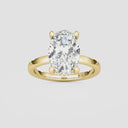 Oval Hidden Halo Engagement Ring