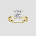 Cushion Hidden Halo Engagement Ring
