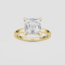 Asscher Hidden Halo Engagement Ring
