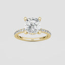 Cushion Floating Hidden Halo Engagement Ring