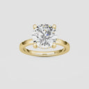 Round Hidden Halo Engagement Ring