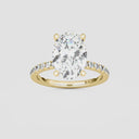 Oval Floating Hidden Halo Engagement Ring